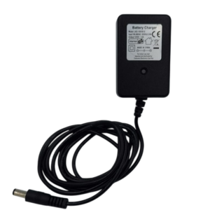 ALIMENTATORE CARICA BATTERIA (LKC-150100-G) PER VEICOLI DA CORSA GIOCATTOLO